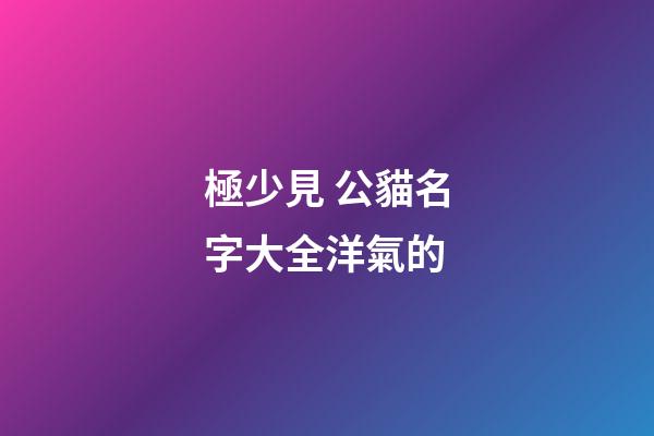 極少見 公貓名字大全洋氣的